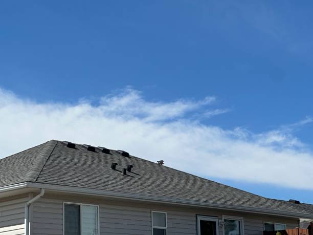 Professional Roofing Service in Arlington, TN
